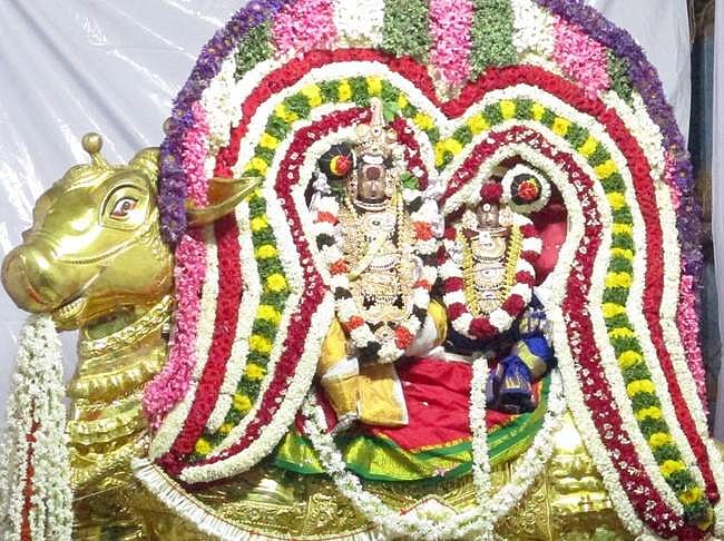 தங்க ரிஷப வாகனத்தில் பிரணாம்பிகை சமேத தர்பாரண்யேஸ்வரர் (உற்சவர்).