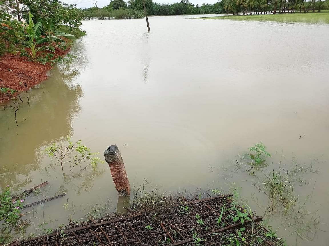 முடிக்கொண்டான் பகுதியில் மழைநீரில் மூழ்கியுள்ள சம்பா பயிர்கள்.