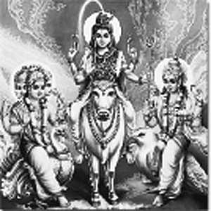Story image