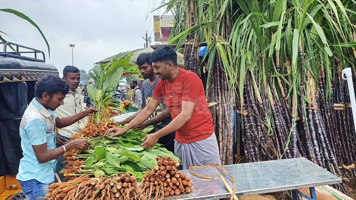 மஞ்சள் குலை விற்பனை