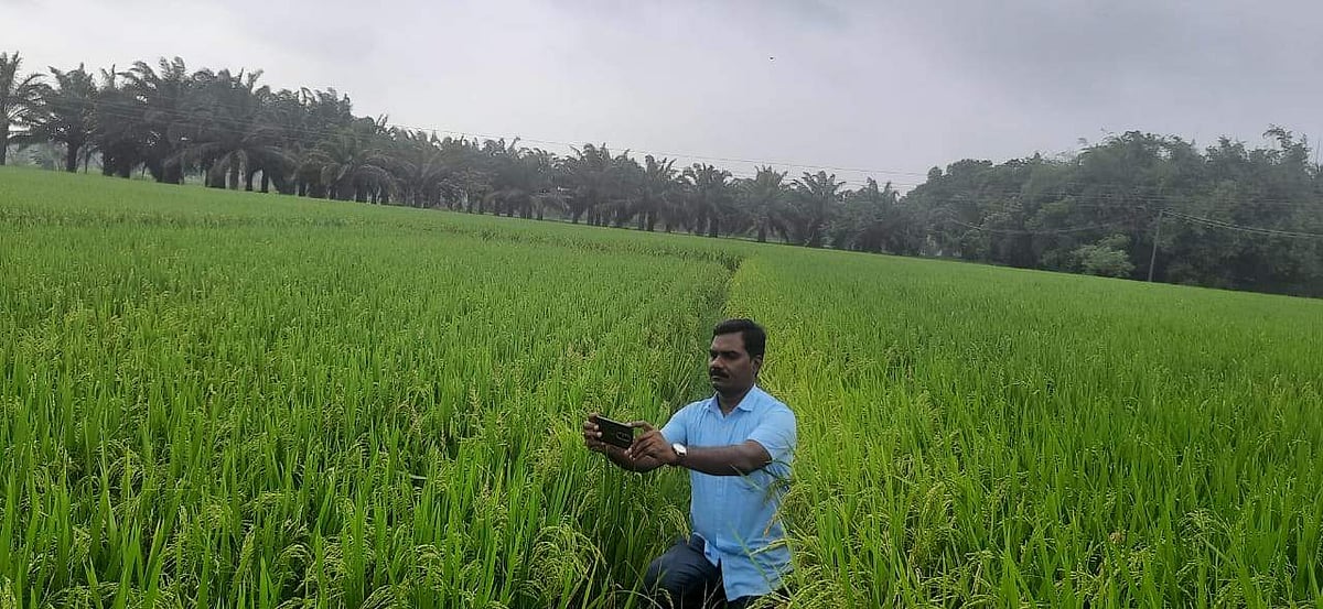 Story image