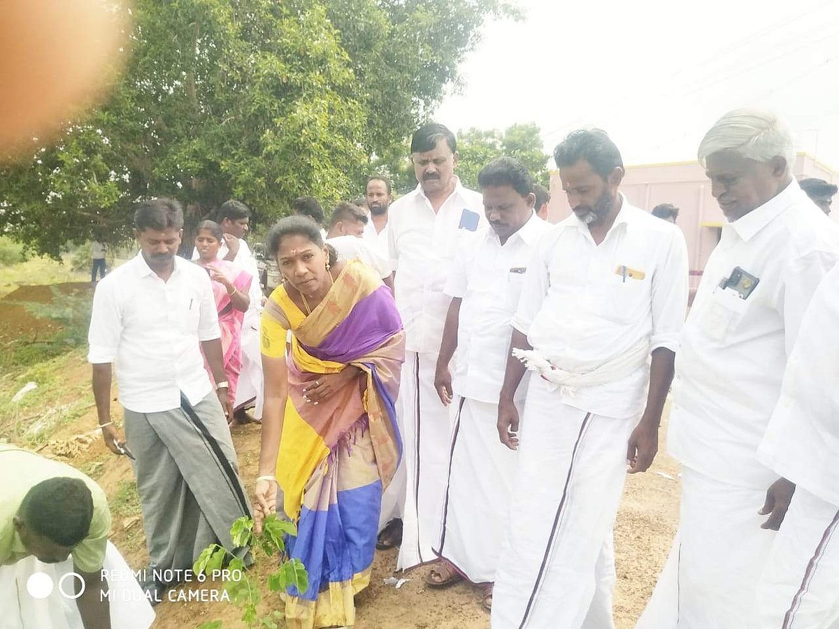 இளையான்குடி ஒன்றியம் புக்குளி கிராமத்தில் நடந்த மருதுபாண்டியர் குருபூஜை விழாவில் சட்டமன்ற உறுப்பினர் தமிழரசி மரக்கன்றுகளை நட்டார்.