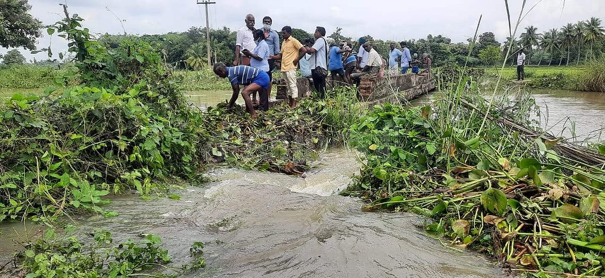தரைப்பாலத்தில் அடைப்பு ஏற்பட காரணமாக இருந்த செடி, கொடிகளை அகற்றும் பணியில் ஈடுபட்டுள்ளன விவசாயிகள்.