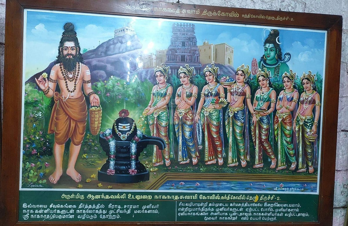சாரமாமுனிவர், நாககன்னிகள் முள்செவ்வந்தி பூக்களால் நாகநாதரை வழிபடும் ஐதீக நிகழ்வை விளக்கும் படம்