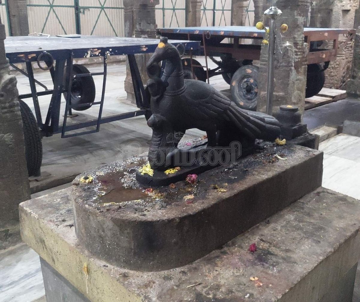 சுப்பிரமணியர் சன்னதி எதிரிலுள்ள மயில்வாகனம்.