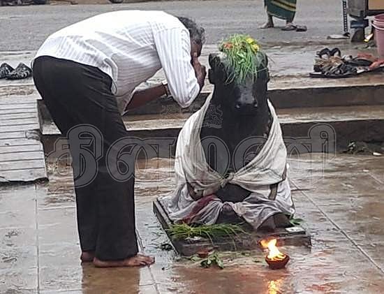 நந்தியெம்பெருமானை வழிபடும் பக்தர்
