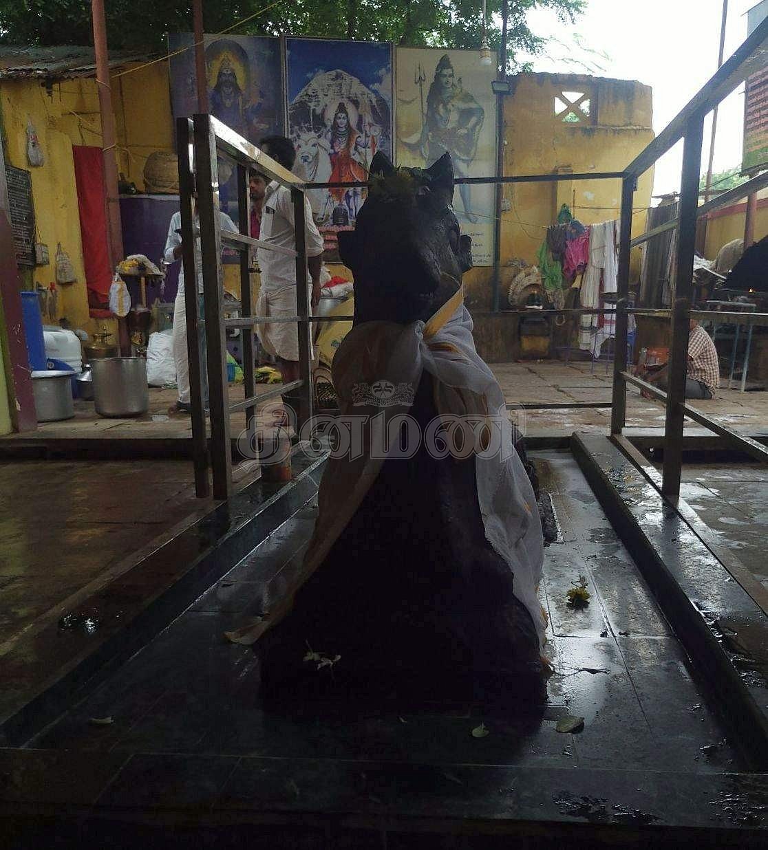 கோயில் முன் வளாக மகாமண்டபம் முன்பு எழுந்தருளியுள்ள நந்தியெம்பெருமான்.