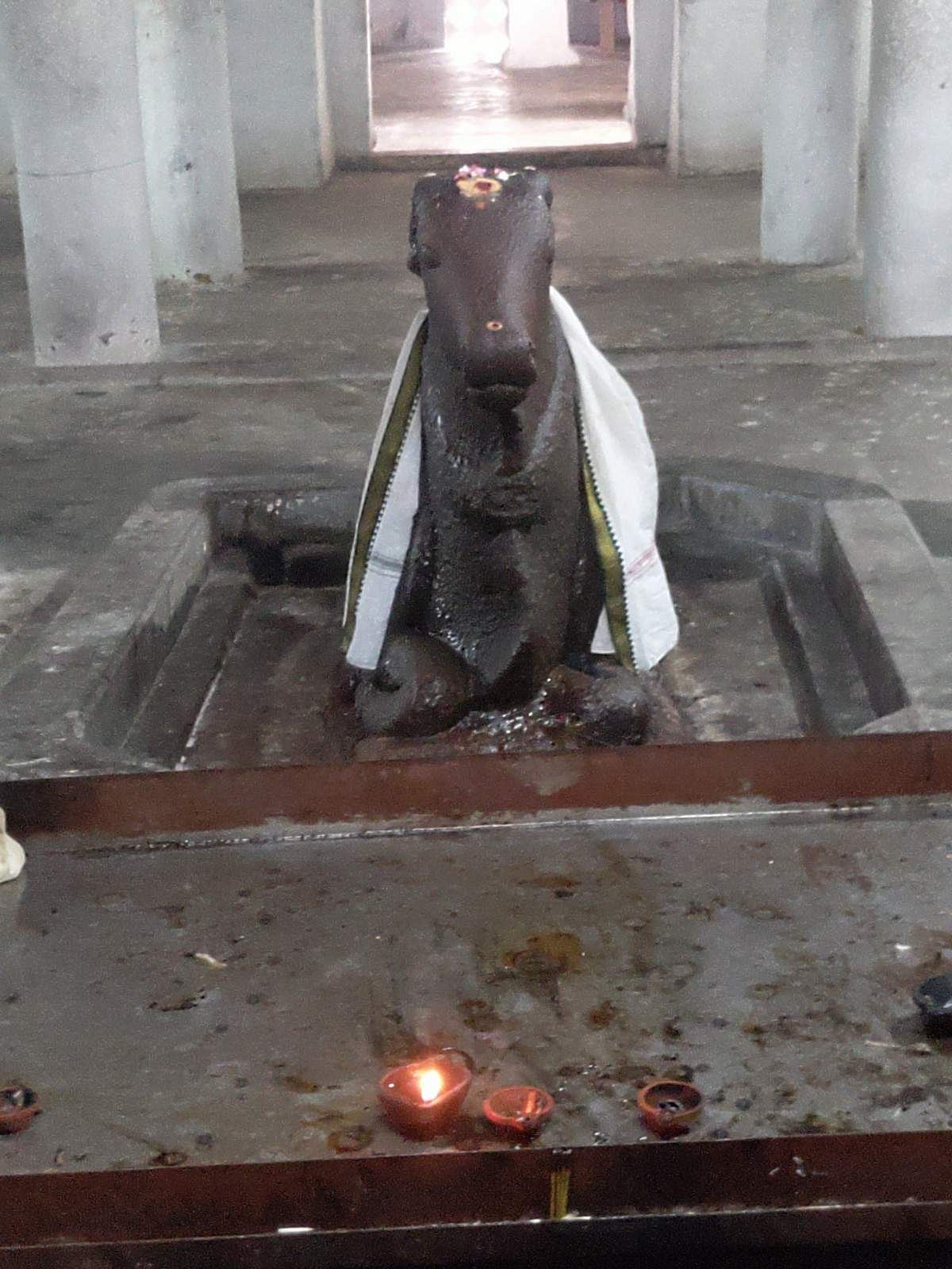  கருவறைக்கு எதிரில் அமைந்துள்ள நந்தியெம்பெருமான் 