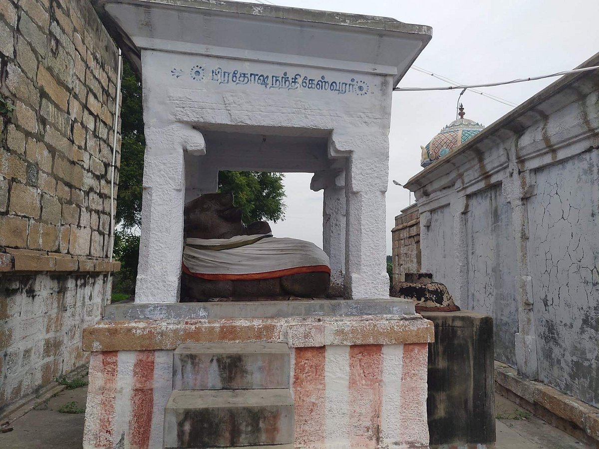  தாயின் நல்லாள் சன்னதிக்கு அருகிலுள்ள பிரதோஷ நந்திகேசுவரர் 