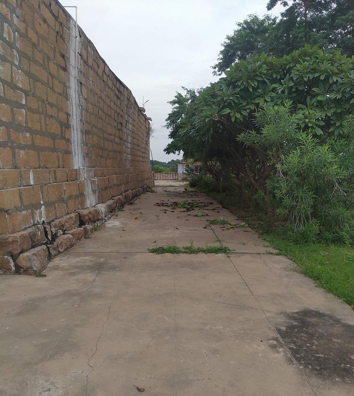   கோயிலின் வெளிப் பிரகாரப் பகுதி    