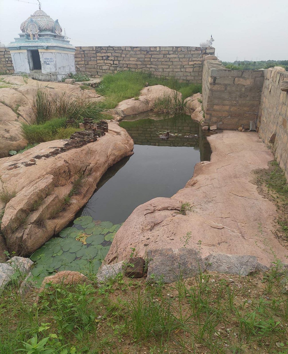  திருக்கோயில் வெளிப் பிரகாரத்தில் அமைந்துள்ள சுனை தீர்த்தம் 