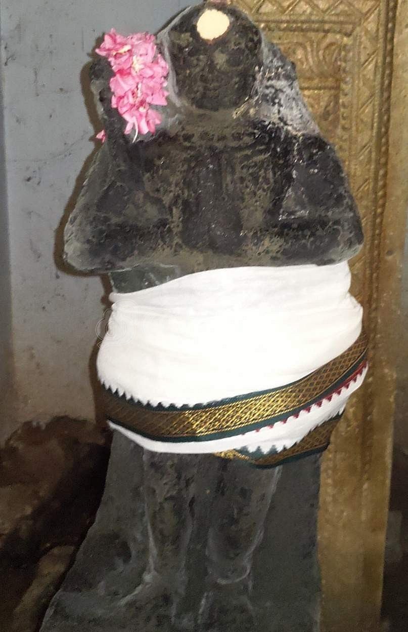 உருத்திர பசுபதி நாயனார்