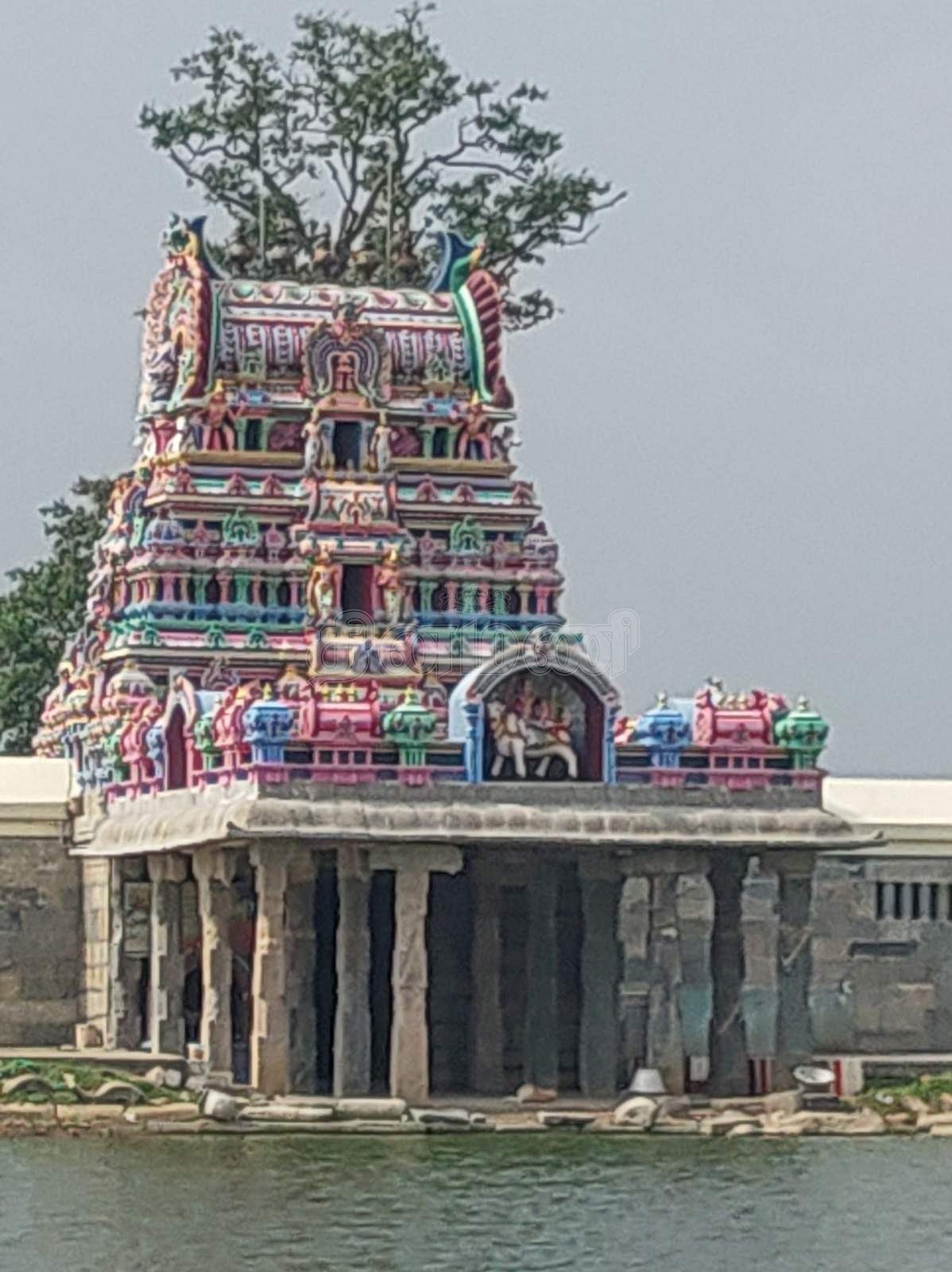 தெப்பக்குளத்துடன் காணப்படும் திருத்தலையூர் அருள்மிகு சப்தரிஷீசுவரர் திருக்கோயில்