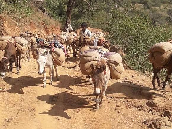 மலைக் கிராமமான கோட்டூர் மலைக்கு குடும்ப அட்டைகளுக்கு வழங்கப்படும் அத்தியாவசியப் பொருள்களைச் சுமந்துசெல்லும் கழுதைகள்