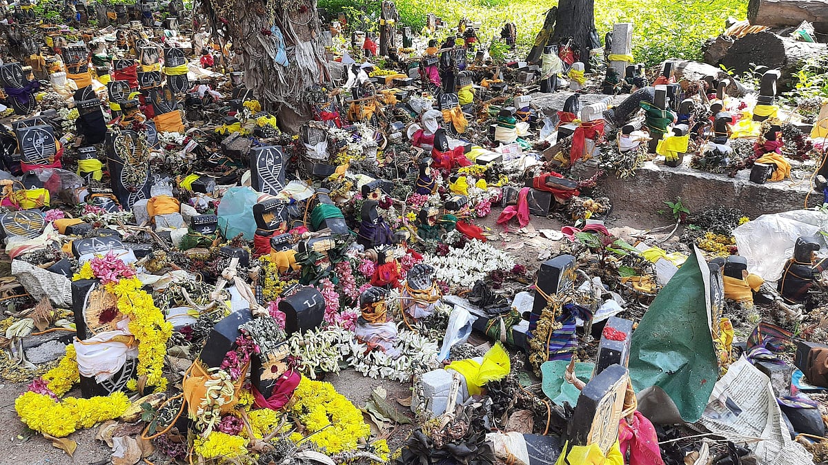 பரிகார பூஜைக்காக பக்தர்களால் கொண்டு வரப்படும் நாகர் சிலைகள்