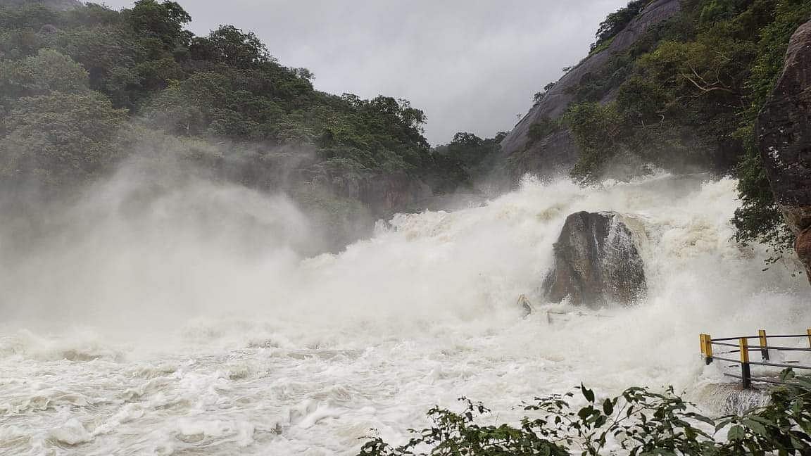 மணிமுத்தாறு அருவி
