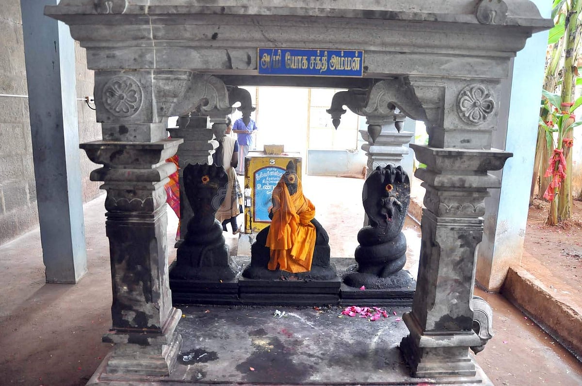 கல்வாழைப் பரிகாரப் பகுதியிலுள்ள அருள்மிகு யோகசக்தி அம்மன்