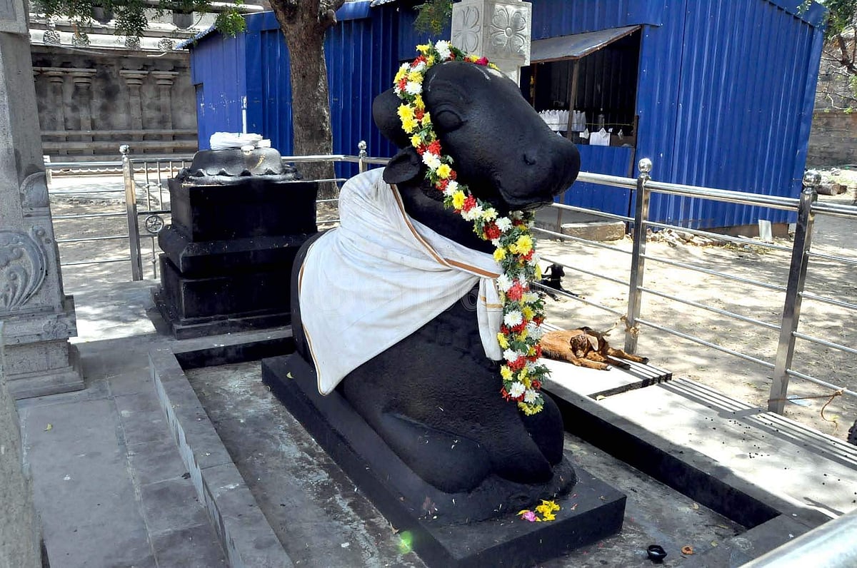 சோறுடை ஈசுவரர் சன்னதிக்கு எதிரிலுள்ள நந்தி