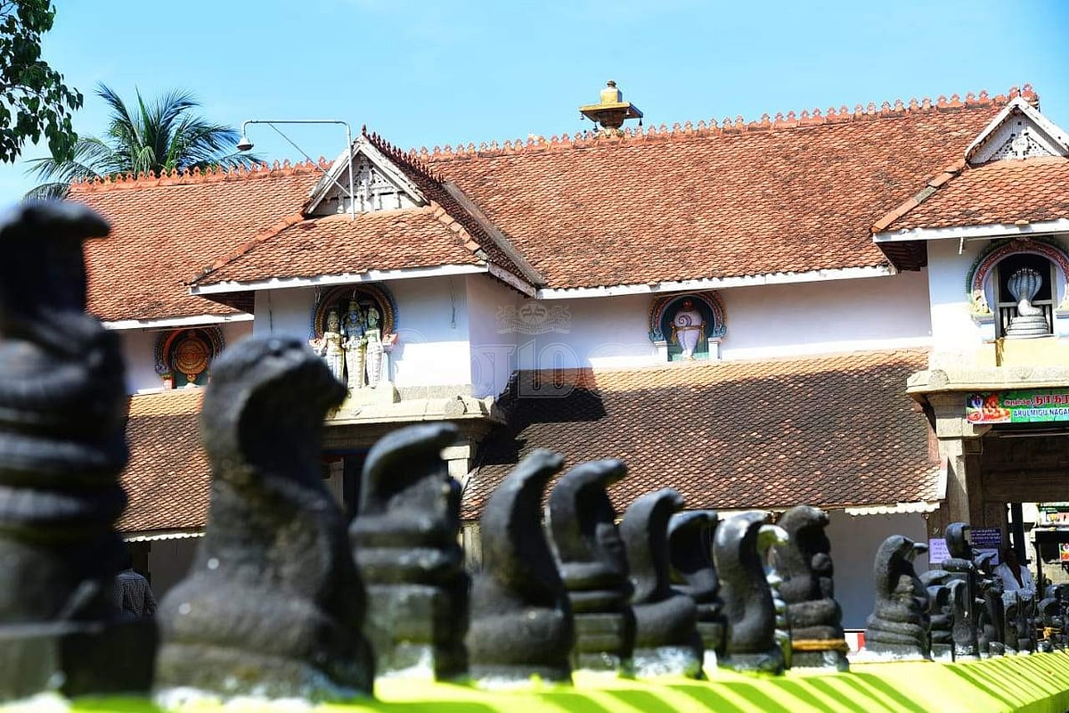 கோயில் வளாகத்தில் நிறுவப்பட்டுள்ள நாகர் சிலைகள்