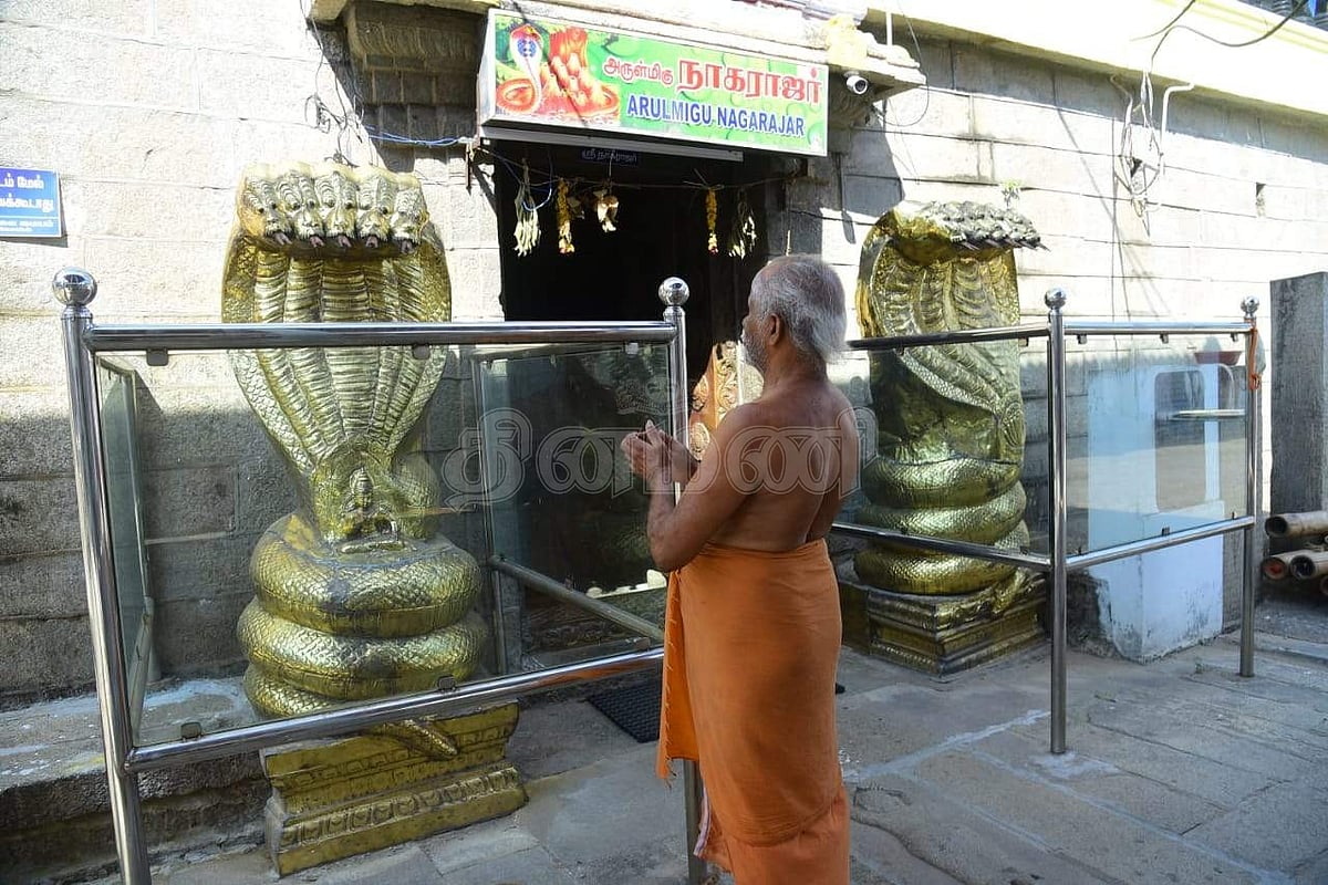 நுழைவு வாயிலில் துவாரபாலகர்களாக ஆண், பெண் நாகங்கள்