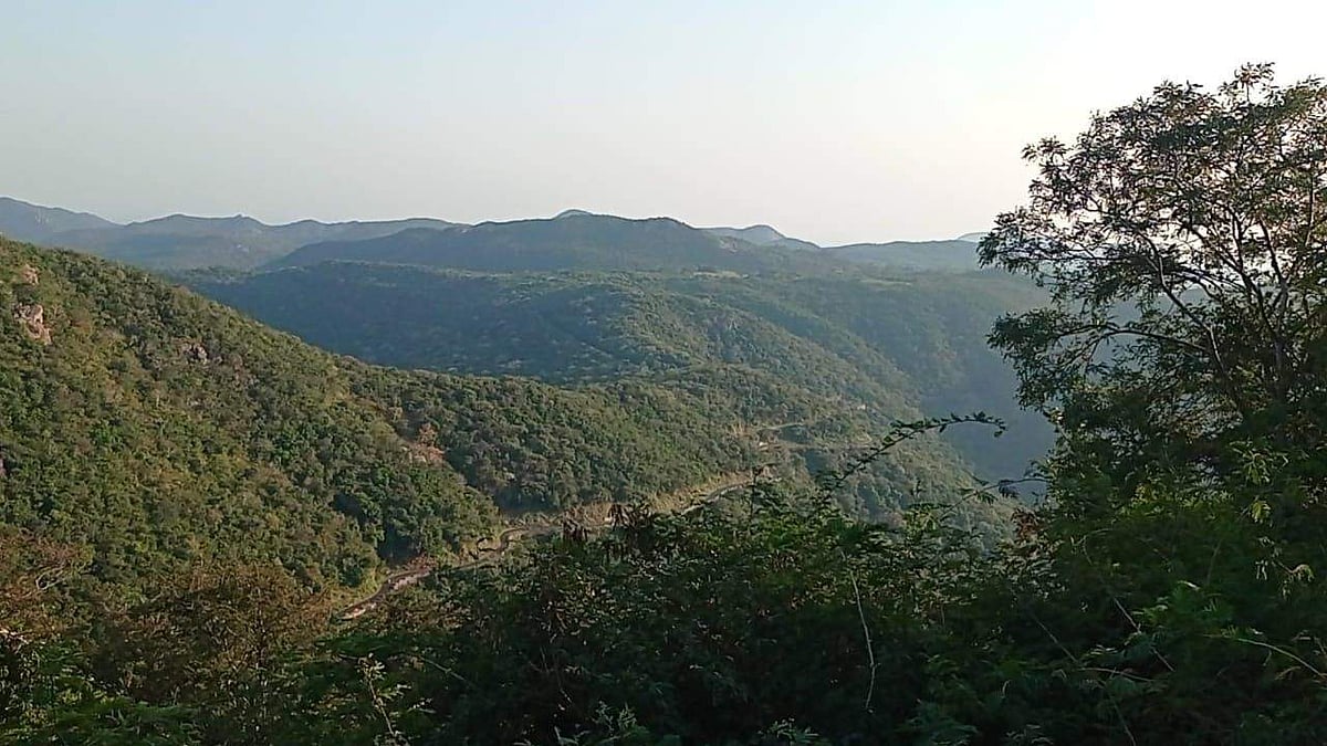 பச்சைமலை