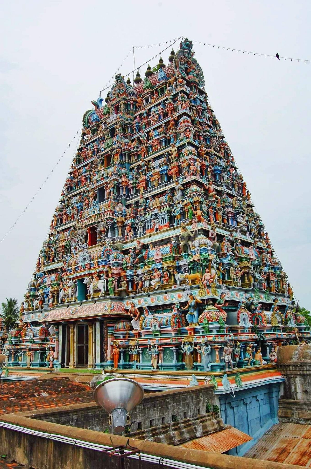 <strong>சிக்கல் சிங்காரவேலவர் கோயில் - கோபுரம்</strong>