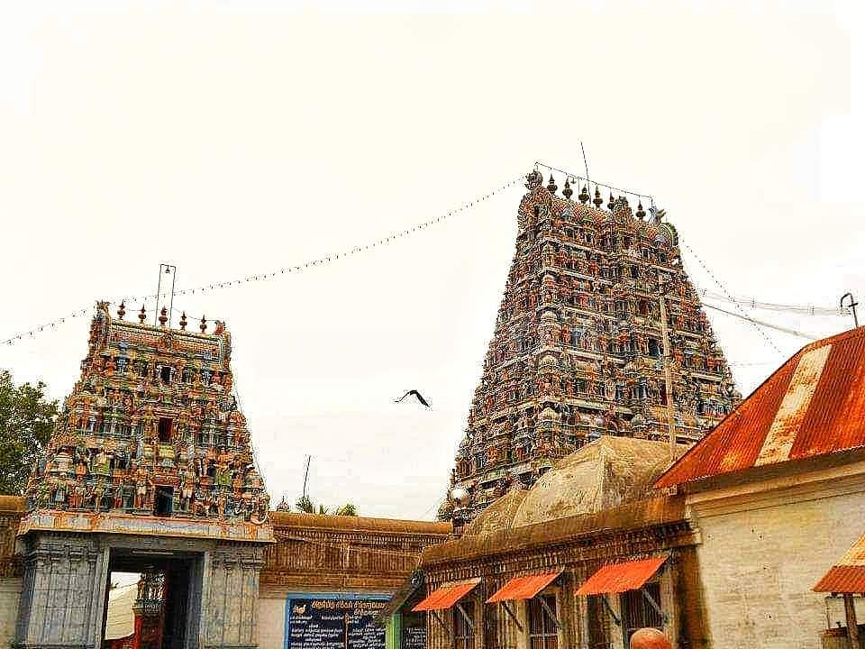 <strong>சிக்கல் சிங்காரவேலவர் சன்னதிக்கு செல்லும் வழி</strong>