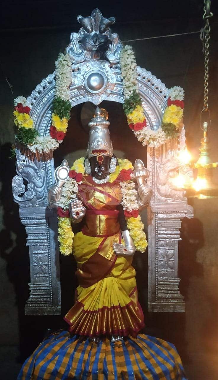 <strong>அருள்மிகு வேல்நெடுங்கண்ணி அம்மன்</strong>