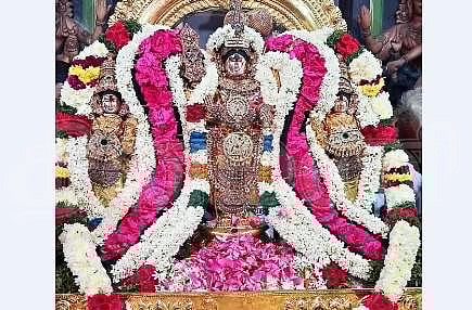 <strong>சிக்கல் சிங்காரவேலவர் உற்சவ மூர்த்தி</strong>