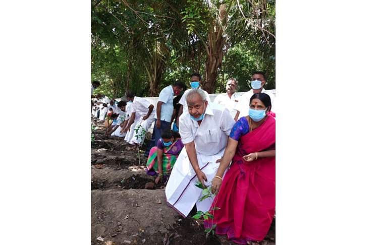 திருப்புவனத்தில் கருணாநிதி பிறந்த நாள் விழாவையொட்டி திமுகவினர் மரக்கன்றுகள் நட்டனர்.