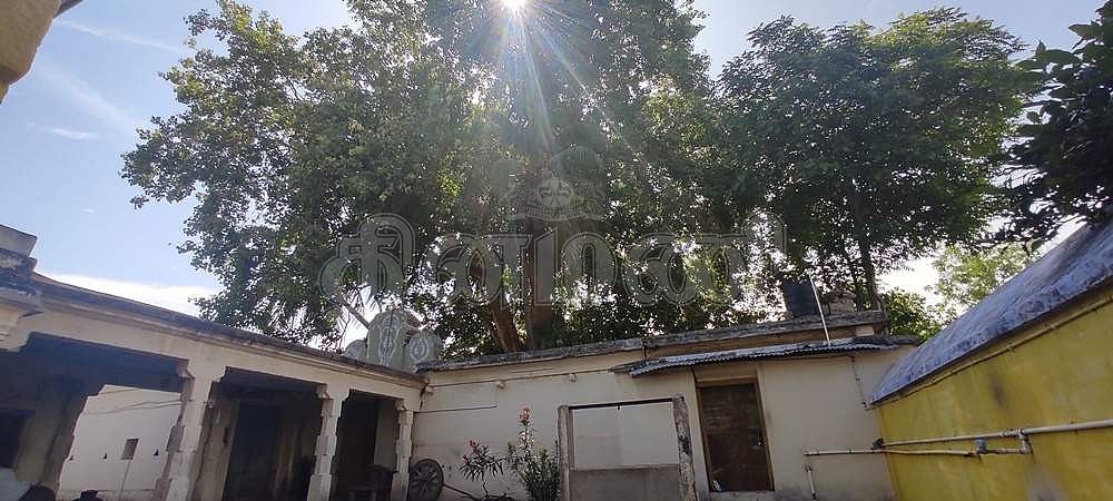 கோயிலுக்கு வெளியிலுள்ள அரசமரம்.
