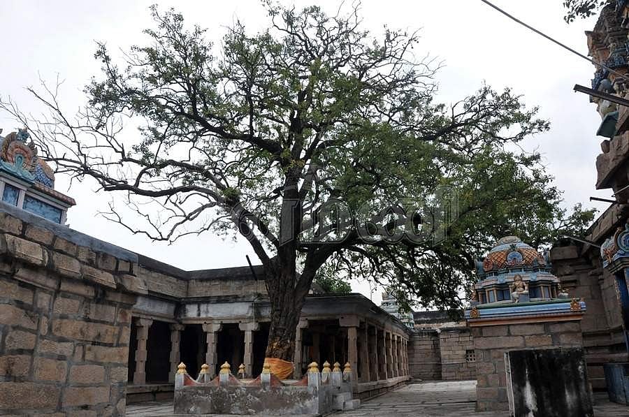 உள்பிரகாரம்