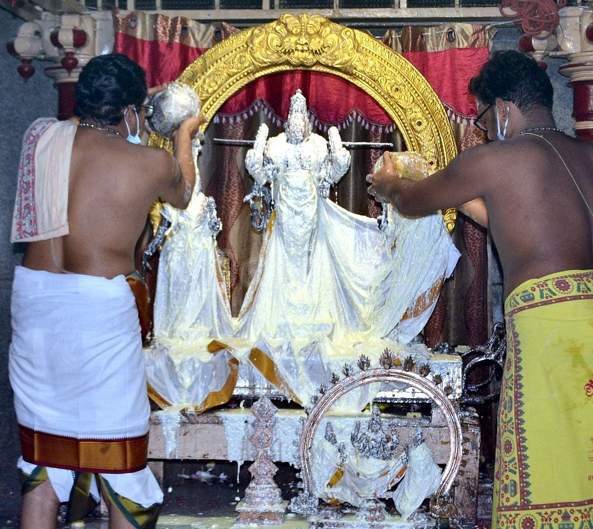 திருத்தணி முருகன் கோயில் ஆடிக்கிருத்திகை திருவிழாவில் சுவாமிக்கு நடைபெற்ற தயிர் அபிஷேகம்.