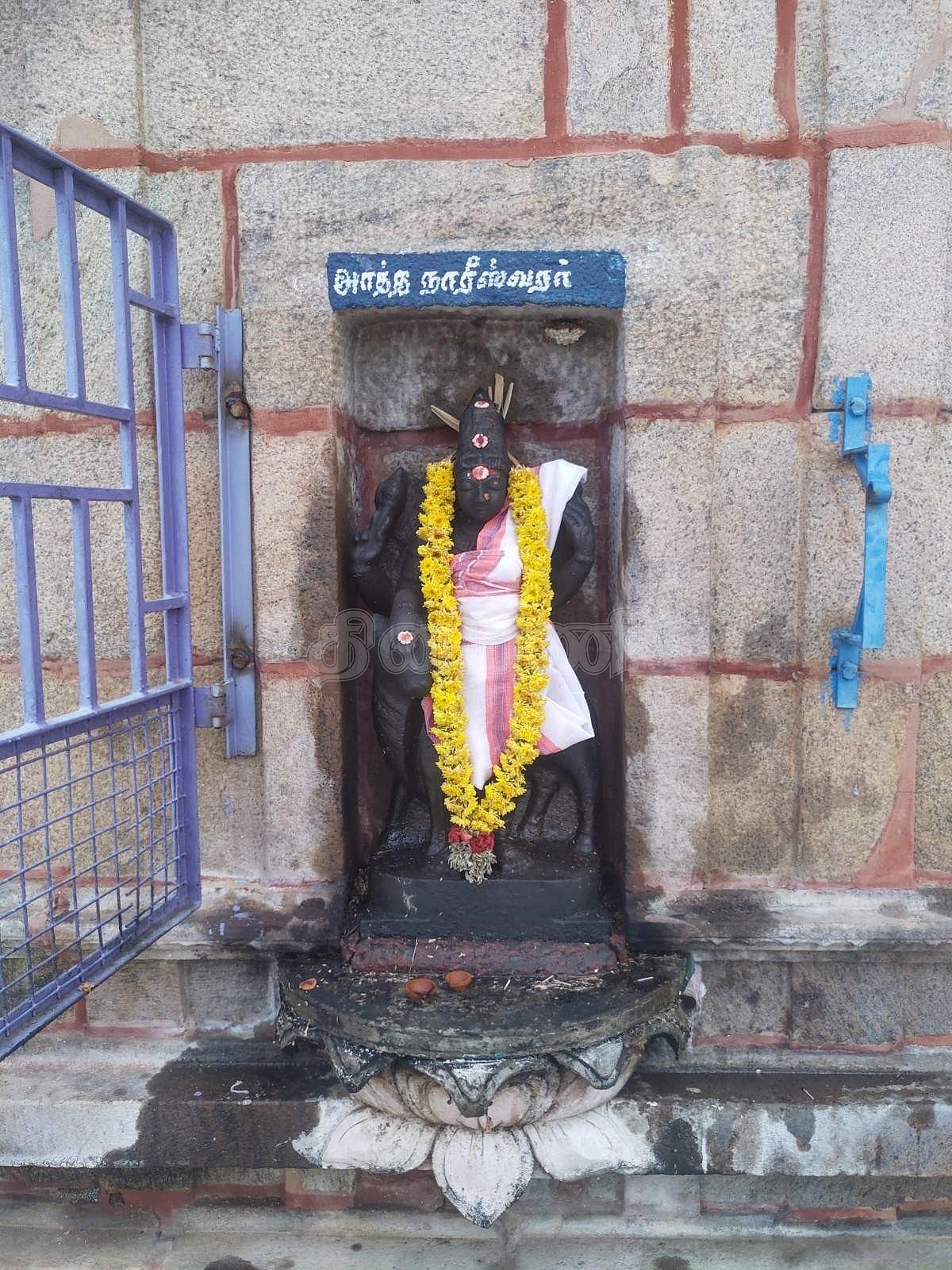 <strong> அர்த்தநாரீசுவரர்</strong>