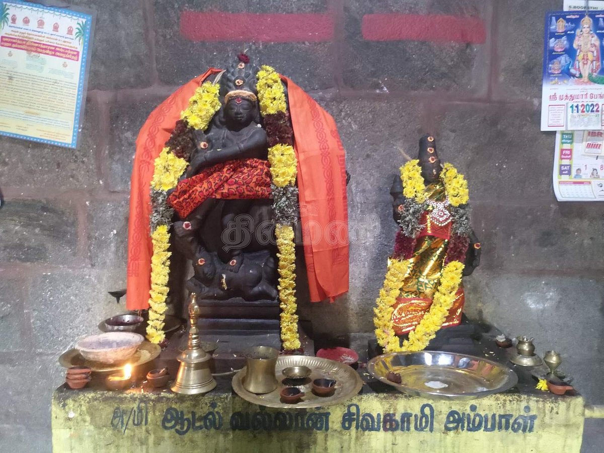 <strong>நடராஜர்-சிவகாமசுந்தரி அம்மன் (கல்லால் ஆன திருமேனி)</strong>