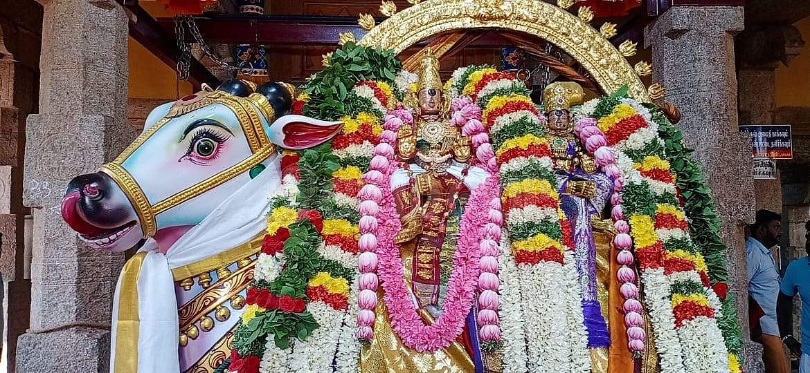 சப்பரத்தேரில் பிரியாவிடை சமேதமாய் ரிஷப வாகனத்தில் எழுந்தருளிய சோமநாதர் சுவாமி