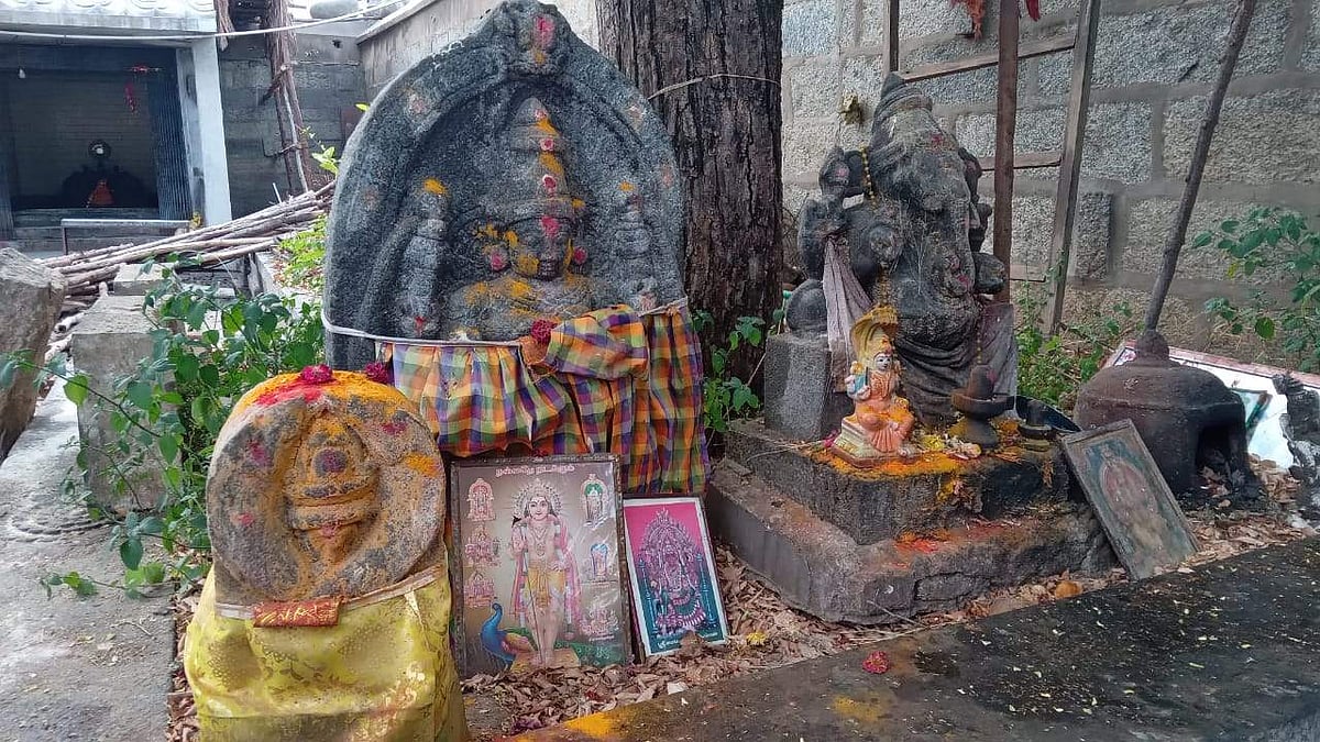 உள் பிரகாரப் பகுதியில் நாகர், விநாயகர் உள்ளிட்ட தெய்வங்கள்.