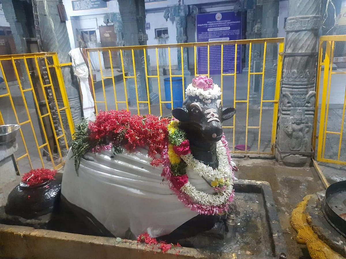 அலங்காரத்தில் நந்தியெம்பெருமான்