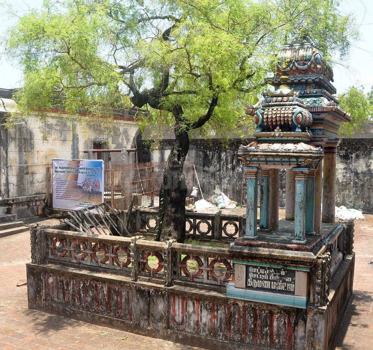 <strong>திருமணத்துக்கு சாட்சியாக இருந்த வன்னி மரம் மற்றும் திருமணமேடை</strong>