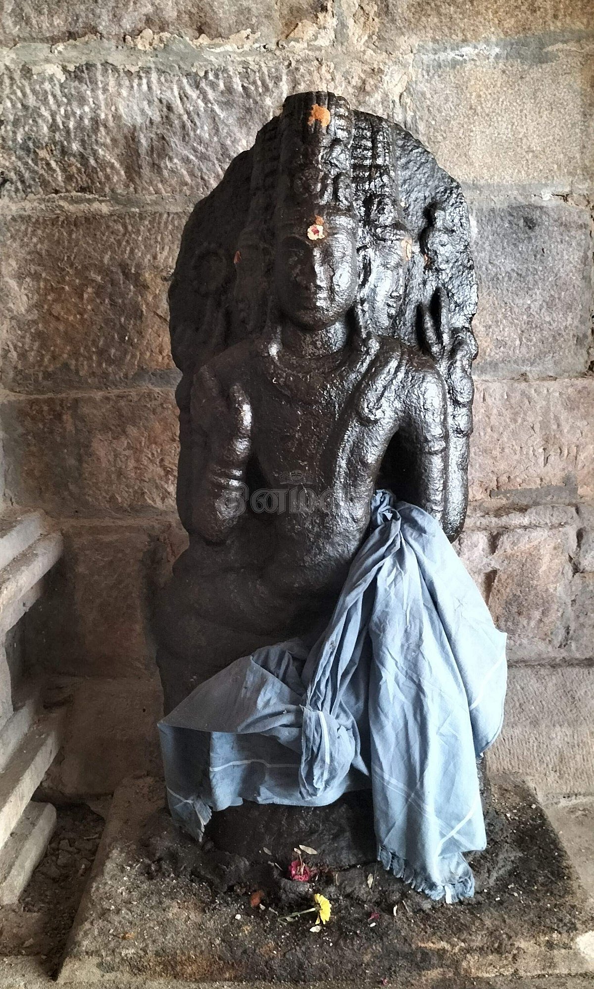 <strong>பிரம்மா</strong>