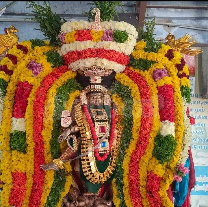 <strong>சிறப்பு அலங்காரத்தில் நடராச பெருமான்</strong>