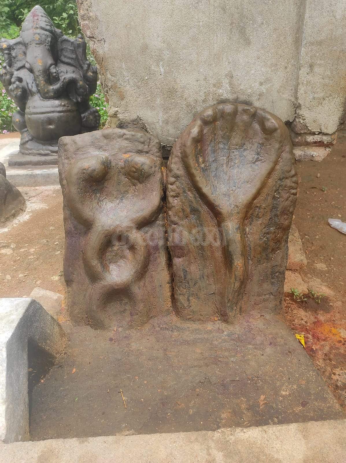 நாகர், நாகக்கன்னி