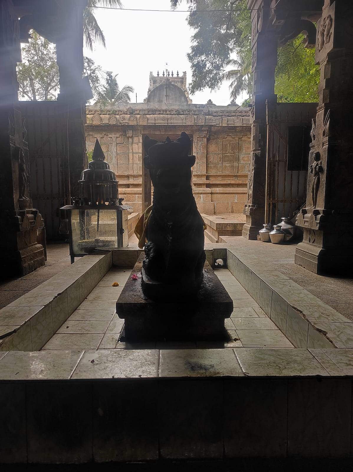 <strong>இறைவன் சன்னதிக்கு நேர் எதிரில் அமைந்துள்ள நந்தியெம்பெருமான்</strong>