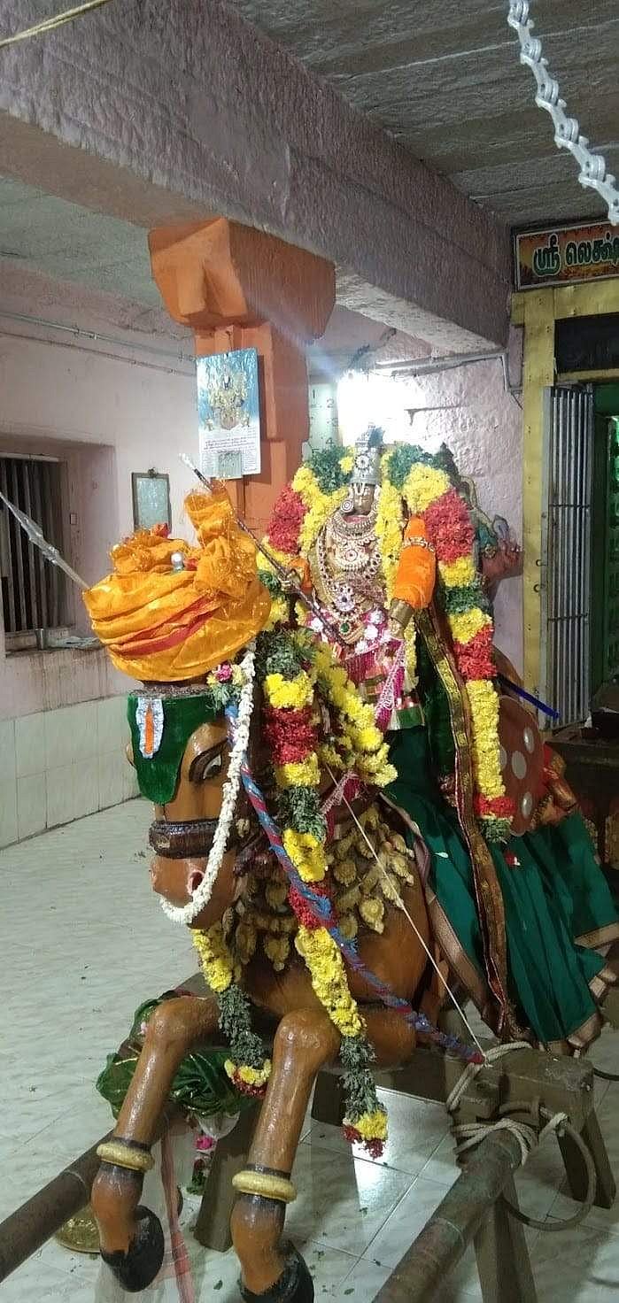 <strong>குதிரை வாகனத்தில் உற்சவர் நவநீதகிருஷ்ணன்</strong>