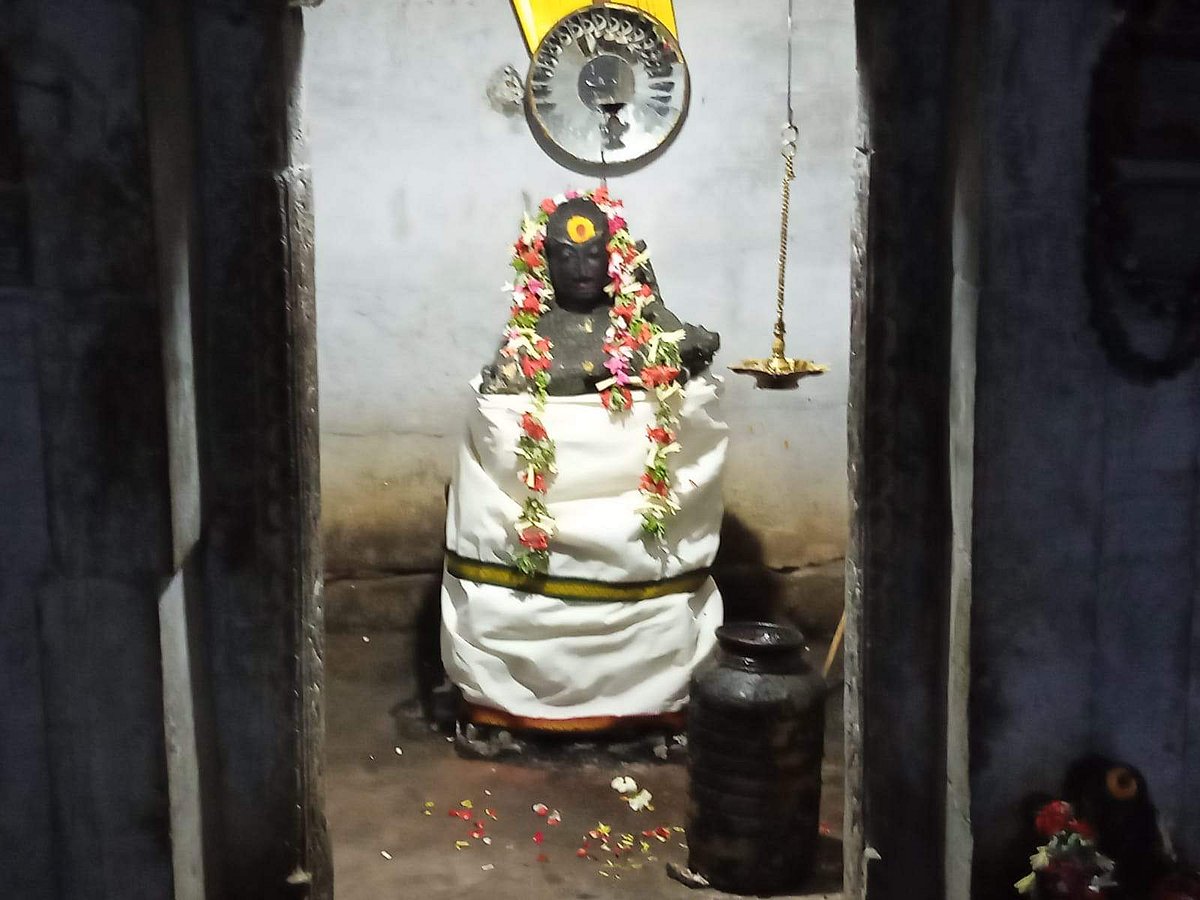 <strong>ஓலைச்சுவடியுடன் காட்சியளிக்கும் மகாசித்தர் போகர்</strong>