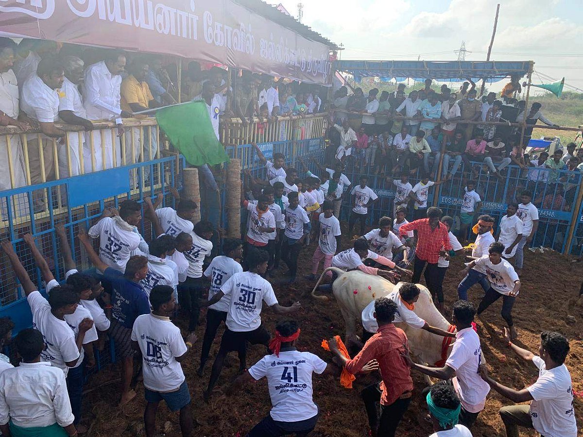 கொடியசைத்து போட்டி தொடங்கப்பட்டபோது..