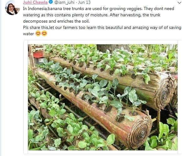 ஜூஹியின் ட்விட்டர் பகிர்வு...