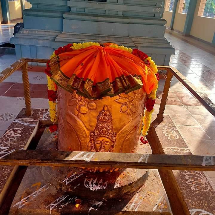 பக்தர்கள் வழிபடும் மாமரம்