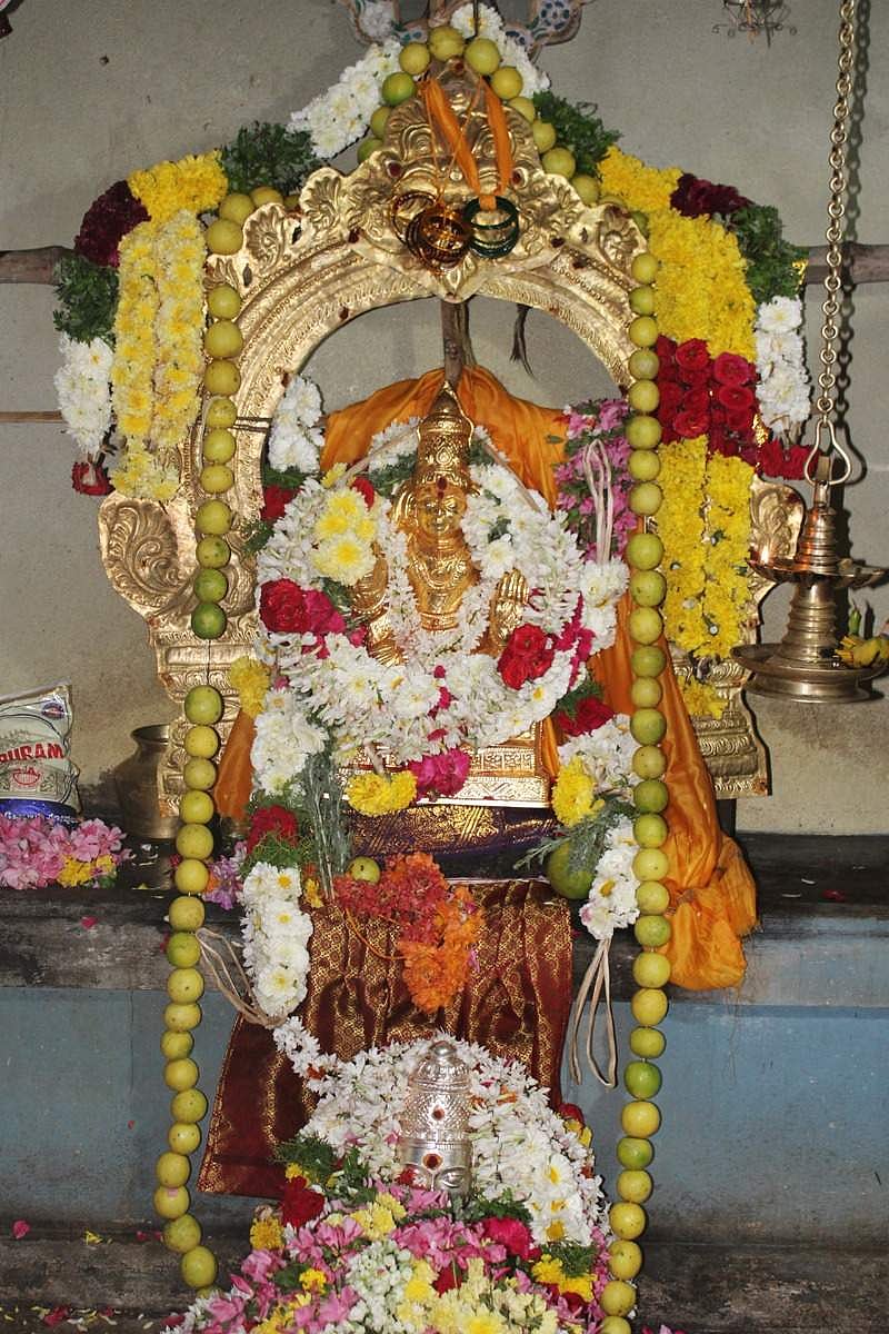 தை கடைசி வெள்ளி திருவிழாவில் தங்கக் கவச அலங்காரத்தில் பக்தர்களுக்கு அருள்பாலித்த யமுனாம்பாள்