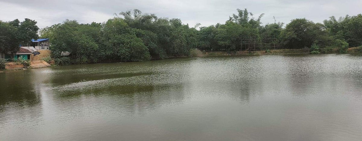 <strong>திருக்குளம்</strong>